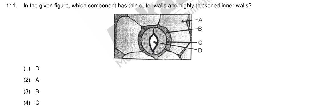 Question 111 as printed in the NEET 2024 booklet