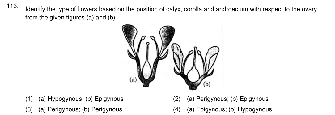 Question 113 as printed in the NEET 2024 booklet