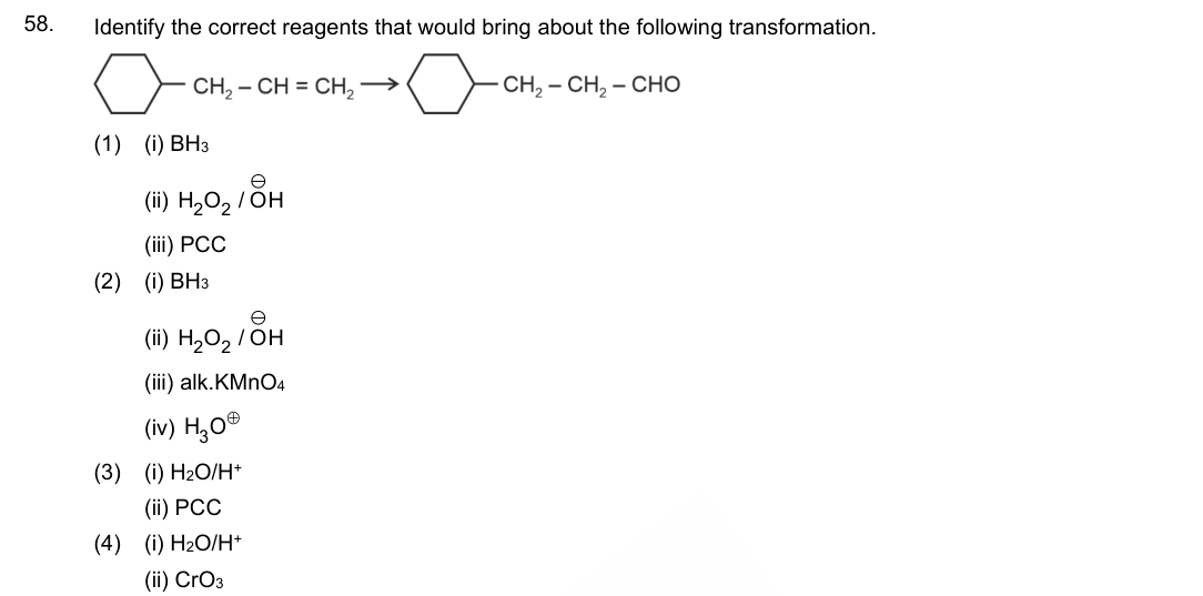 Question 58 as printed in the NEET 2024 booklet