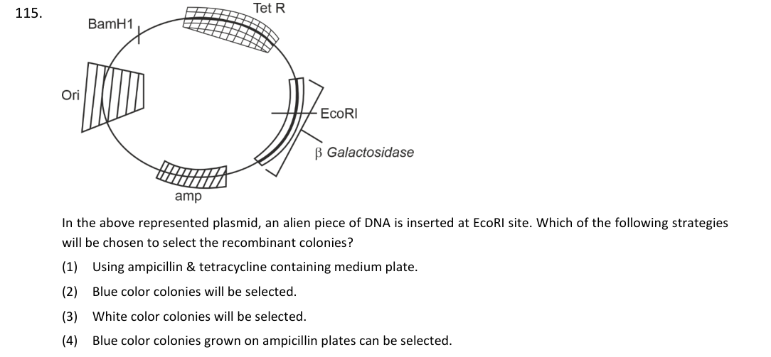 Question 115 as printed in the NEET 2025 booklet