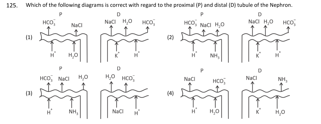 Question 125 as printed in the NEET 2025 booklet